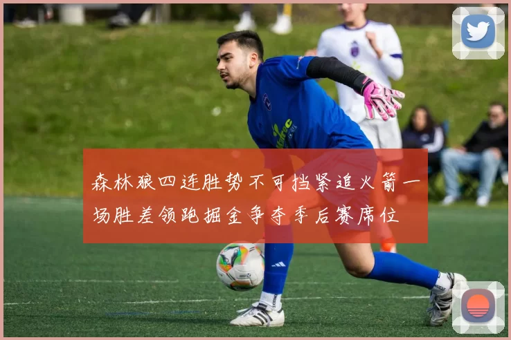 森林狼四连胜势不可挡紧追火箭一场胜差领跑掘金争夺季后赛席位