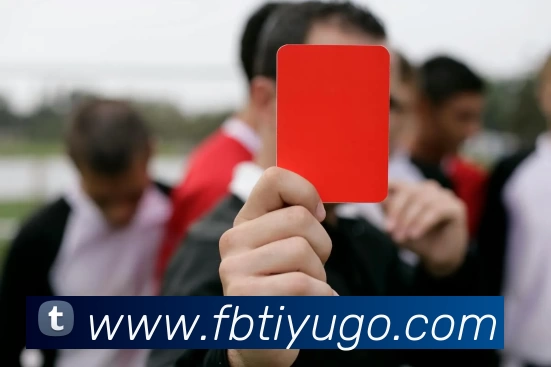 FB体育平台生态图