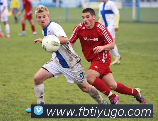 FB体育APP 封面图